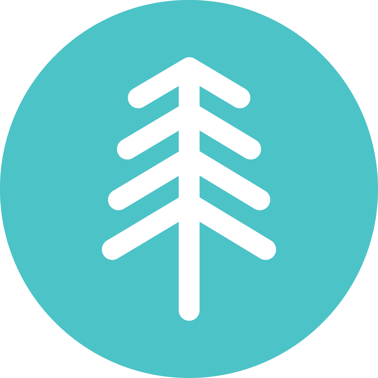 branch out tree logo.png